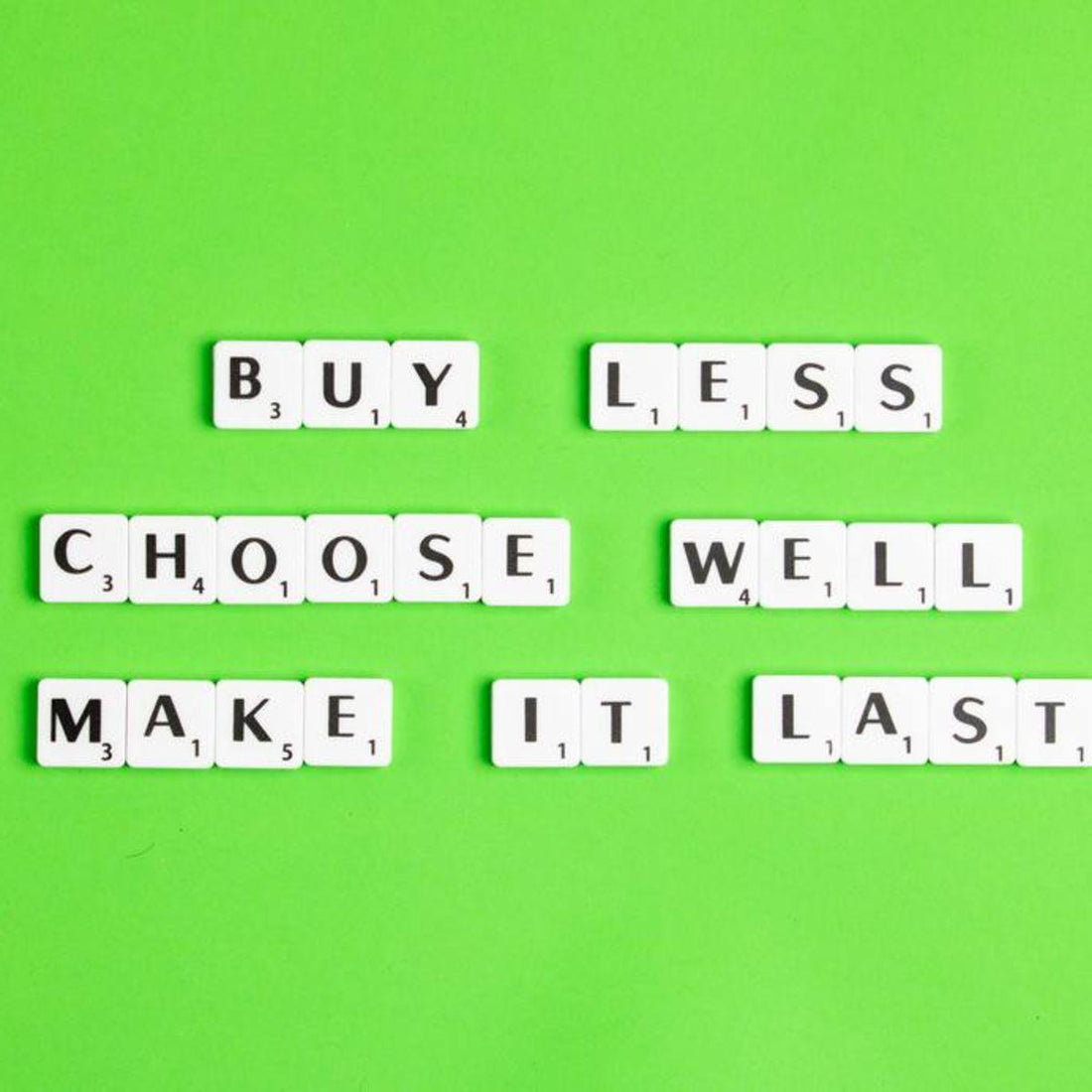 buy less choose well make it last